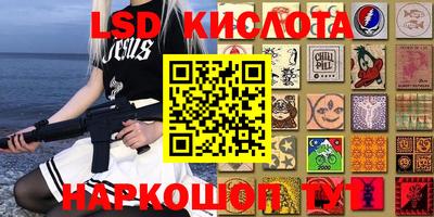 прущие грибы Можга