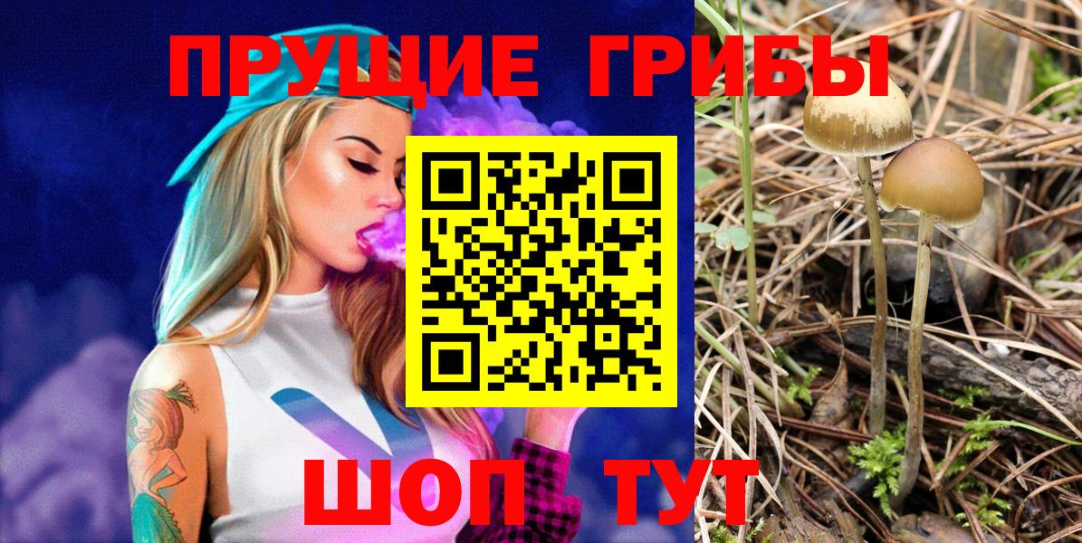 Псилоцибиновые грибы Cubensis  Вход с VPN  Чебоксары  Галлюциногенные грибы прущие грибы 